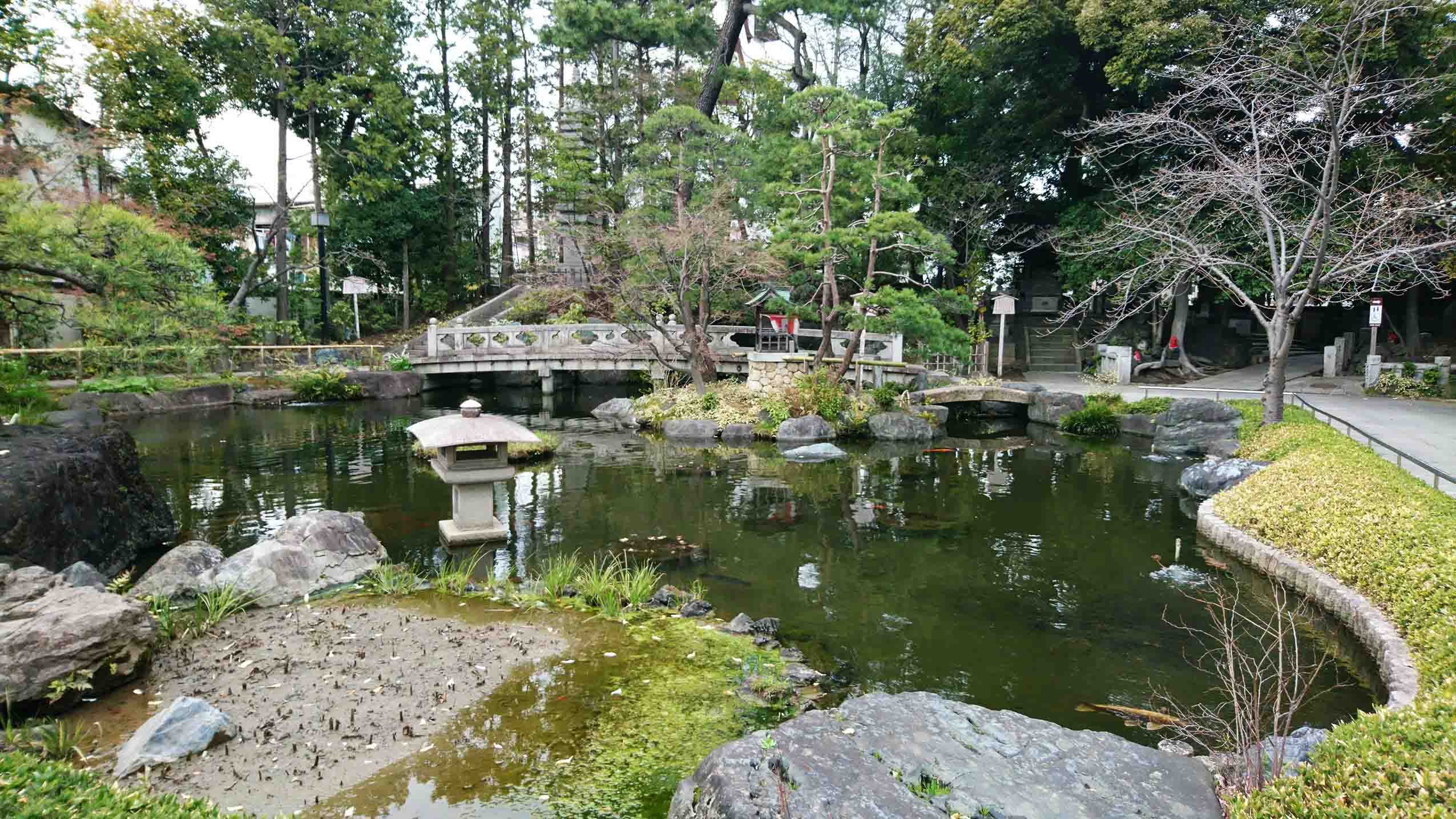 ⛩️ 니시아라이 다이시 소지지 (西新井大師 總持寺) 이미지 4